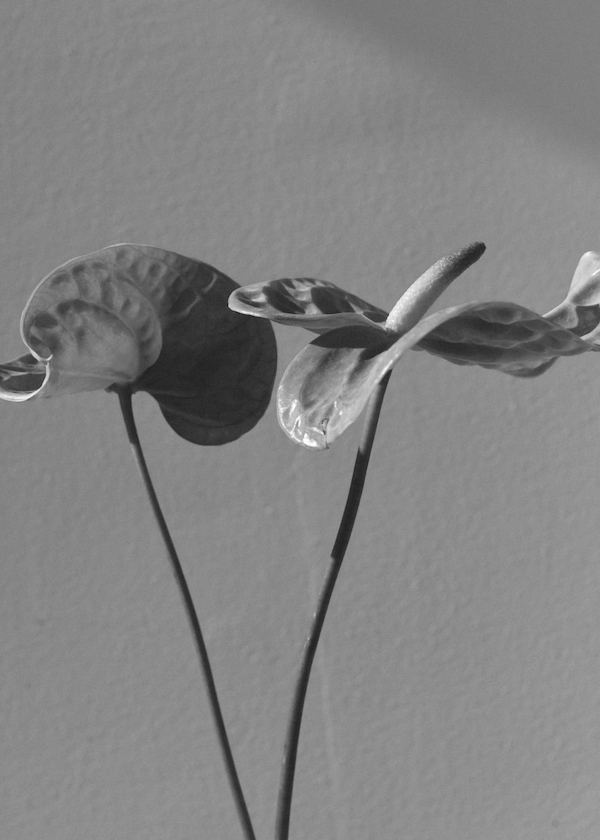 leur logette/ルール ロジェット Collection Image05
