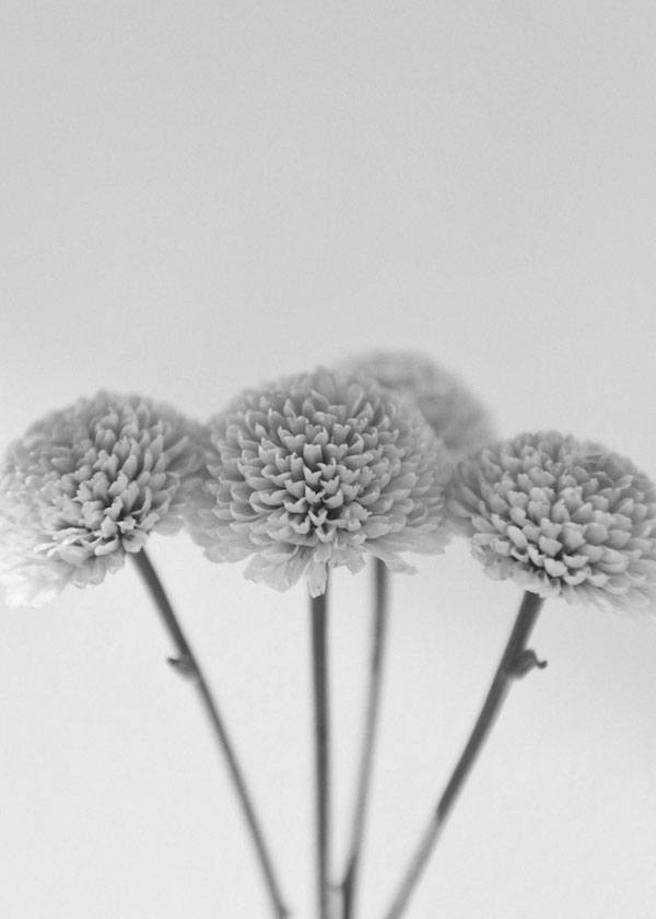 leur logette/ルール ロジェット Collection Image07