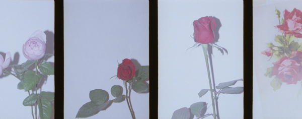 leur logette/ルール ロジェット Collection Image07
