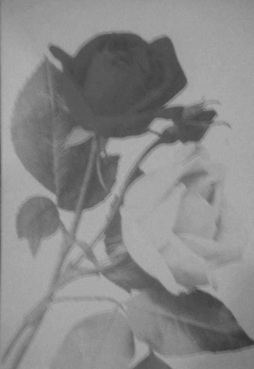 leur logette/ルール ロジェット Collection Image17
