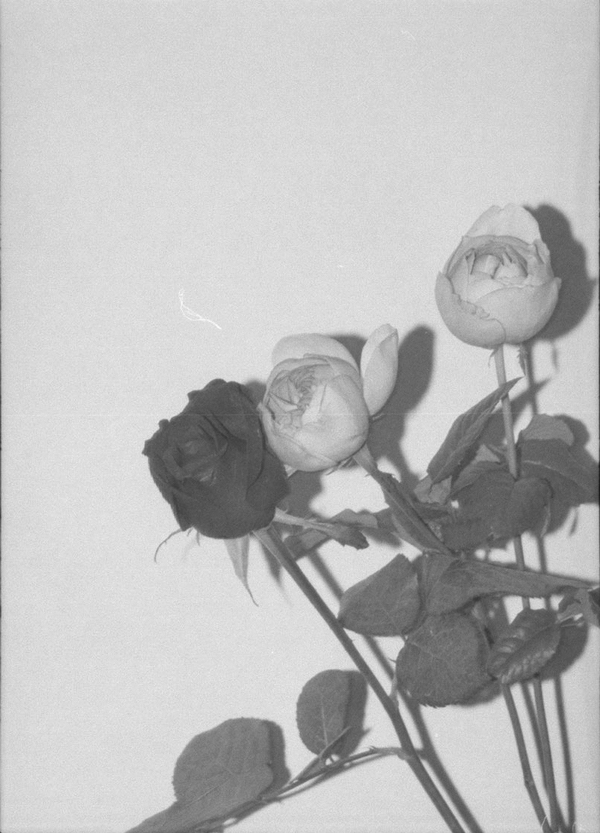 leur logette/ルール ロジェット Collection Image18