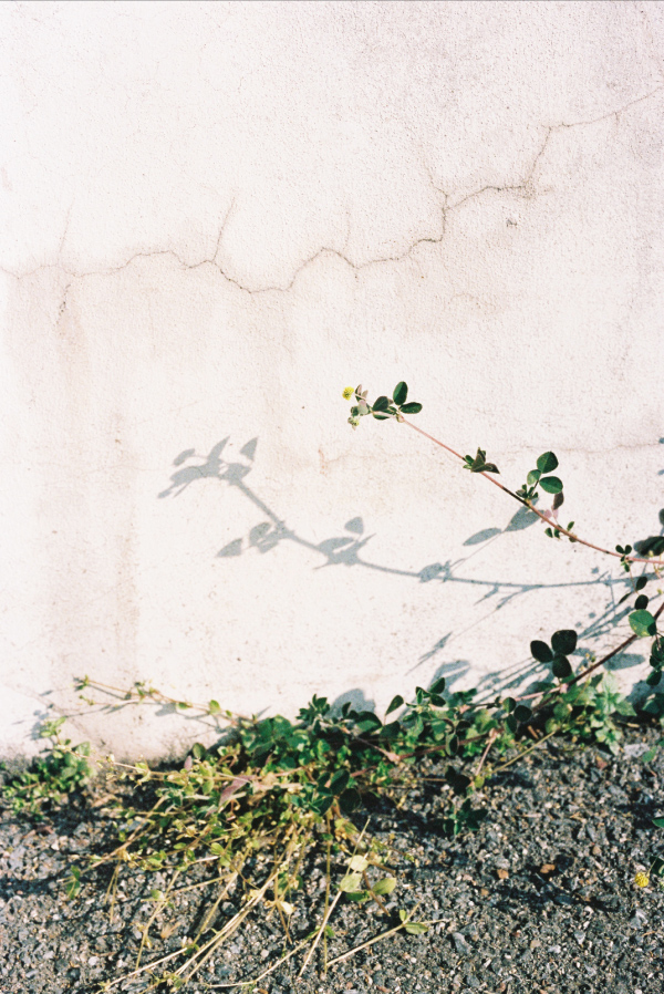 leur logette/ルール ロジェット Collection Image07